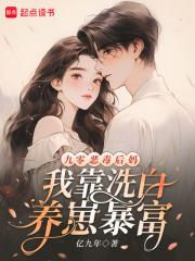 穿越九零做后妈