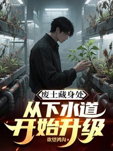 废土藏身处从下水道开始升级