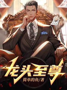龙头至尊TXT无弹窗