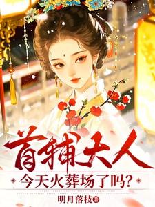 首辅大人今天火葬场了吗?在线阅读