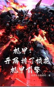 机甲开局拆了校花机甲引擎笔趣阁