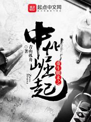 神级狂婿林凡全集无弹窗