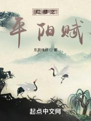 红楼之平阳赋免费阅读