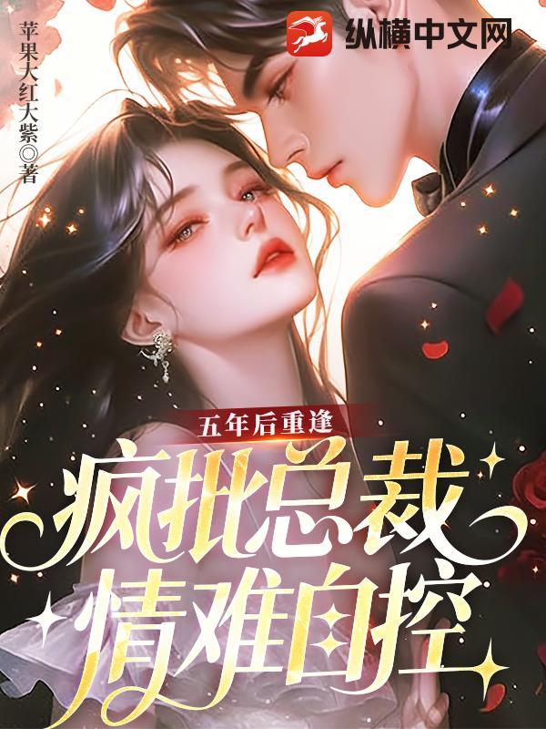 五年后又重逢的