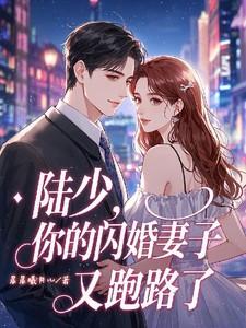 闪婚陆少宠妻请低调全文免费