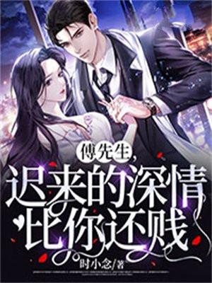 傅先生的情深不海全文免费阅读