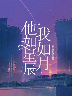 他如星辰闪烁免费阅读无广告