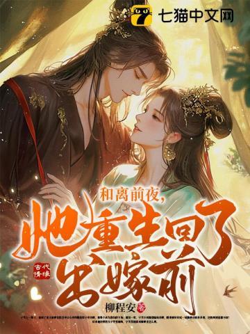 和离前夜她重生回了出嫁前未修改