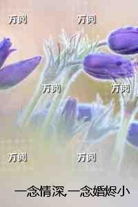 一念情深全文免费阅读