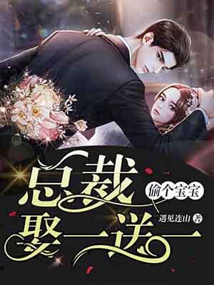 偷个宝宝总裁娶一送一全文免费