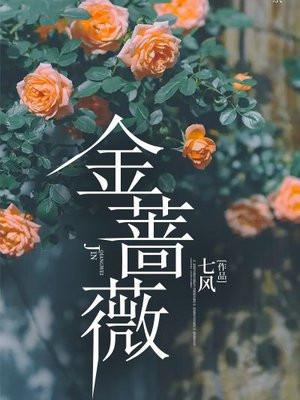 金蔷薇的花语是什么