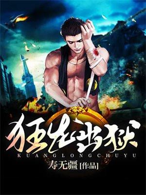 狂龙出狱叶风