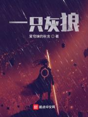 一条灰狼的图片