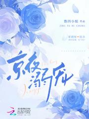 京夜溺宠免费阅读