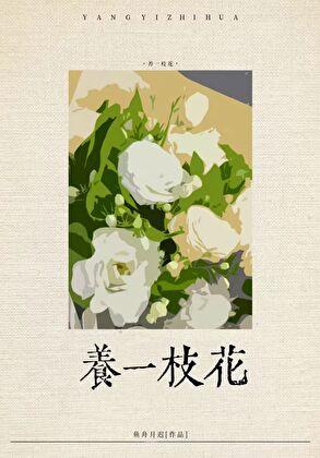 社恐渣A养花日常 鱼舟月迟