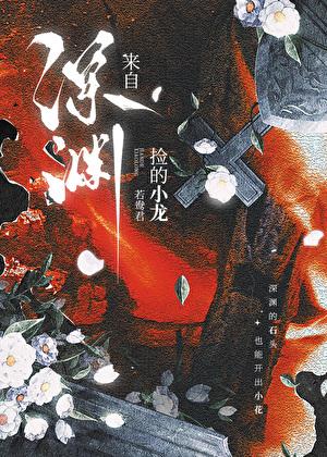 捡的小龙来自深渊by