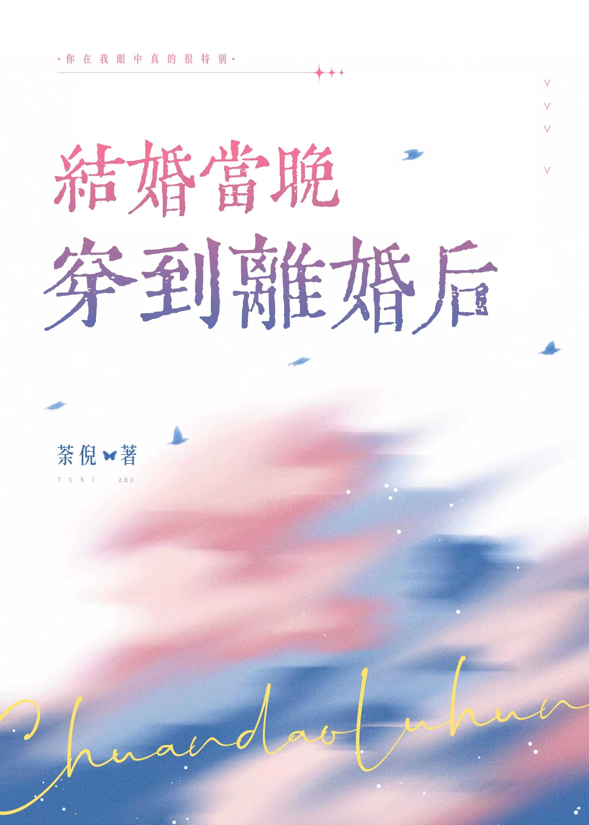 结婚当晚穿到离婚后晋江
