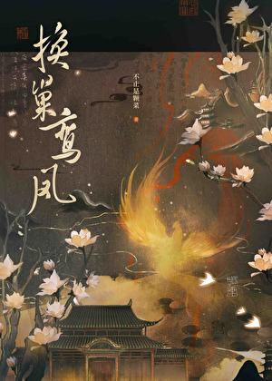 换巢鸾凤 晋江