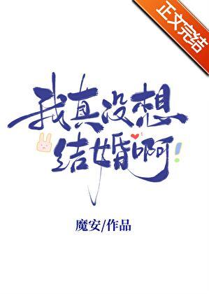 我真没想结婚啊晋江魔安