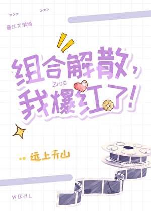 组合解散后我爆红了油盐不进