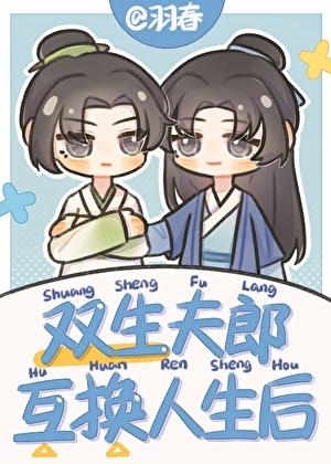 双生夫郎互换人生后全文免费阅读
