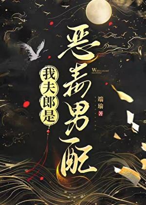 我夫郎是恶毒男配全文免费阅读