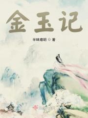 金玉记