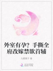 外室有孕？手撕全府改嫁禁欲首辅
