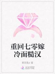 重回七零嫁冷面糙汉