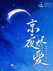 京夜烬爱